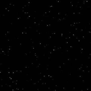 Meet your Posher, Garrett